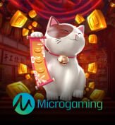 MICRO GAMING